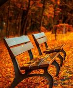Automne