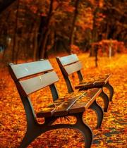 Automne
